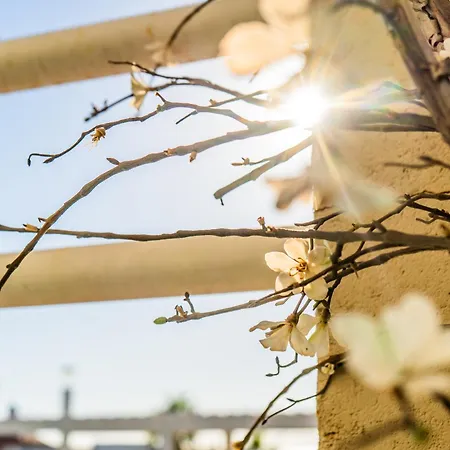 Apartment Lola Y Manuela: Beachfront Oasis With Sea-view Terrace Torremolinos